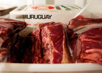 Cuando el mundo necesitaba carne, “encontró a Uruguay bien preparado”
