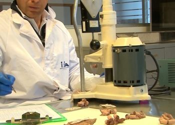 “La carne tiene aportes nutricionales únicos comprobados y en Uruguay no negocia la inocuidad”