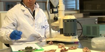 “La carne tiene aportes nutricionales únicos comprobados y en Uruguay no negocia la inocuidad”