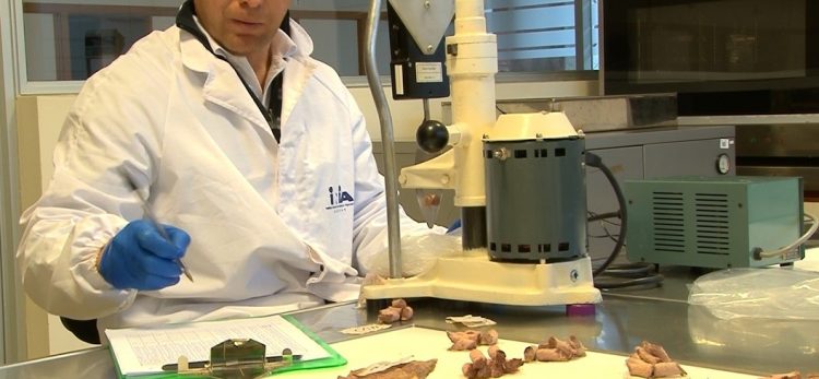 “La carne tiene aportes nutricionales únicos comprobados y en Uruguay no negocia la inocuidad”
