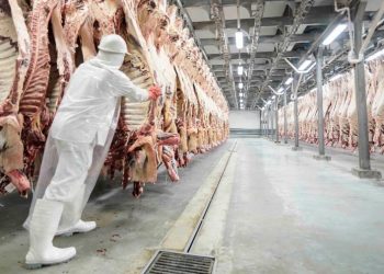 Presidente de INAC instó al Parlamento a considerar iniciativa sobre personería jurídica de los sindicatos