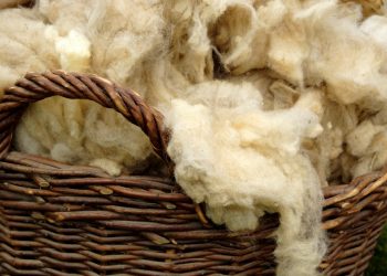 Semana de bajas generalizadas en el comercio internacional de lanas