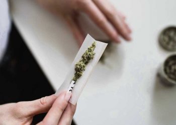 Especialistas advierten sobre el peligro del consumo de marihuana a nivel físico y psicológico