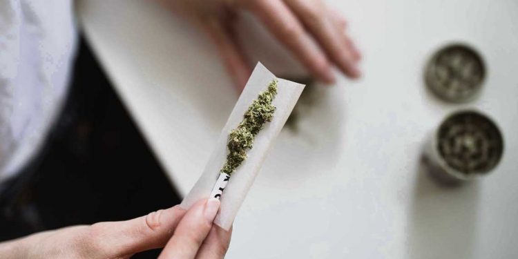 Especialistas advierten sobre el peligro del consumo de marihuana a nivel físico y psicológico