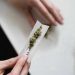Especialistas advierten sobre el peligro del consumo de marihuana a nivel físico y psicológico