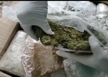 Operación “Riguasu”: incautación récord de marihuana