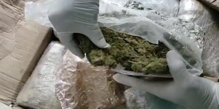 Operación “Riguasu”: incautación récord de marihuana