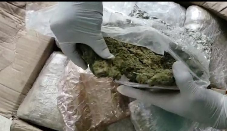 Operación “Riguasu”: incautación récord de marihuana