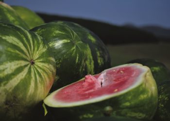 “El contrabando de sandías es un tema muy complejo”