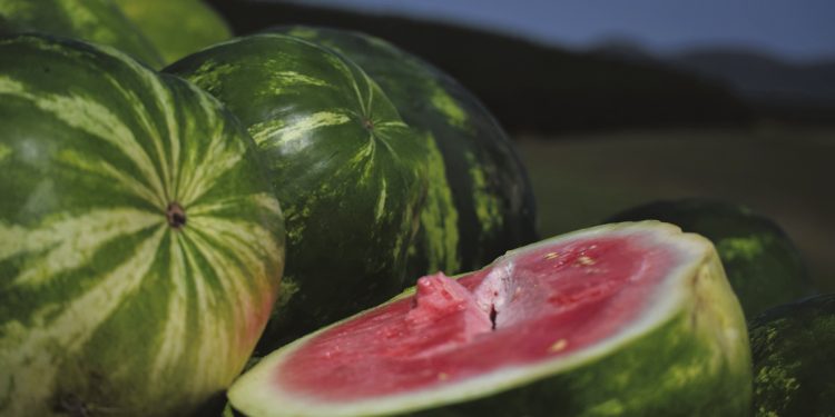 “El contrabando de sandías es un tema muy complejo”