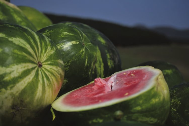 “El contrabando de sandías es un tema muy complejo”