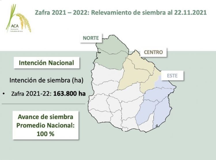 El arroz completó la siembra en un “período ideal”