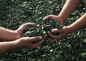 El juicio de Zahemit