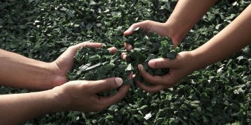 El juicio de Zahemit