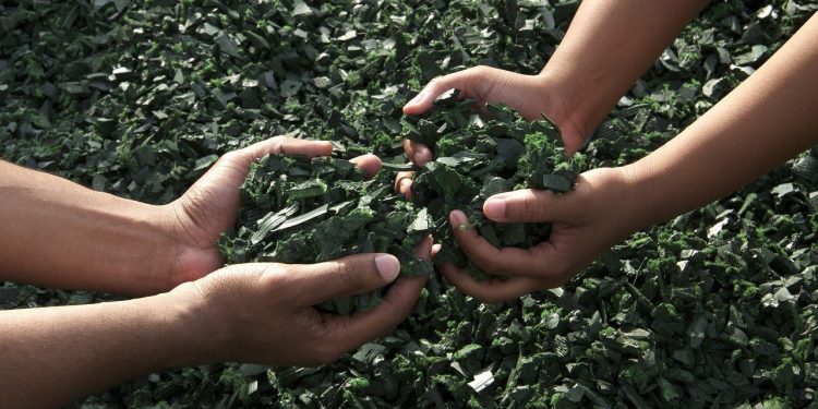 El juicio de Zahemit