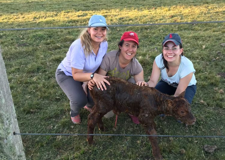 “Aunque debemos irnos a Montevideo, el interior sigue siendo lo que nos identifica”