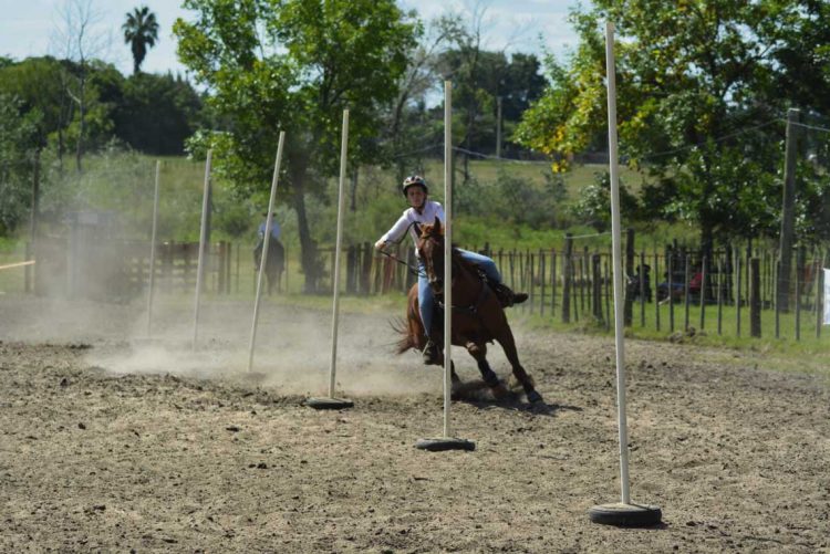 Cuarto de Milla, un caballo versátil y para todas las edades