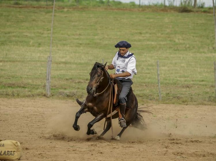 Centro de entrenamiento y actividades de caballos Criollos en Maldonado