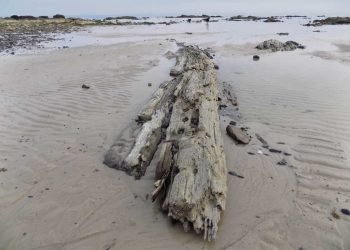 Tesoro arqueológico a la vista