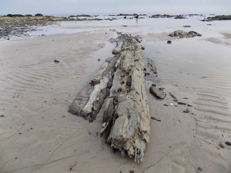 Tesoro arqueológico a la vista