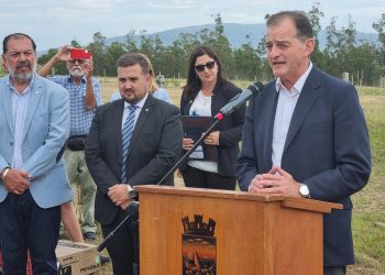 Las razones del General Manini