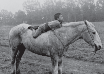 Del Lector: Historias que no me contaron (porque las viví) 2