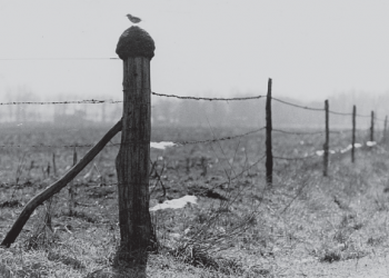 Del Lector: Historias que no me contaron (porque las viví) 3