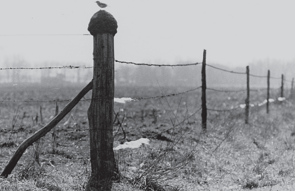 Del Lector: Historias que no me contaron (porque las viví) 3