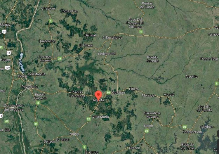 Voraz incendio próximo a áreas forestales en el límite entre Río Negro y Paysandú