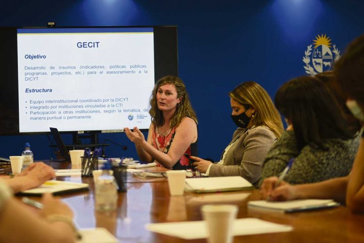 MEC proyecta estrategia para promover inversión privada en ciencia y tecnología