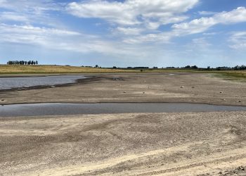 Fue declarada emergencia agropecuaria en 5 departamentos