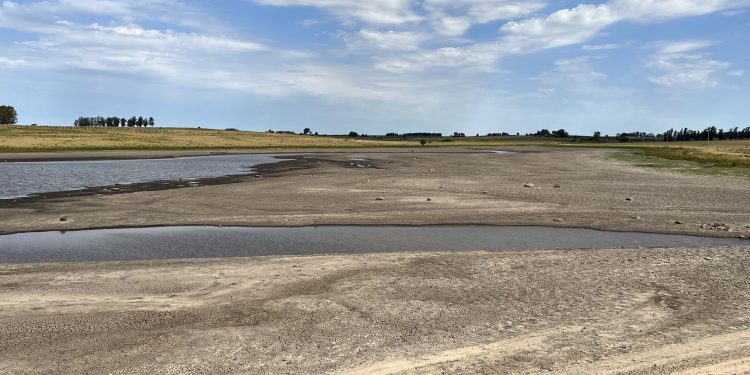 Fue declarada emergencia agropecuaria en 5 departamentos