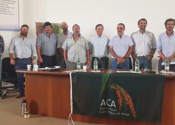 Los problemas logísticos han enlentecido las exportaciones de arroz