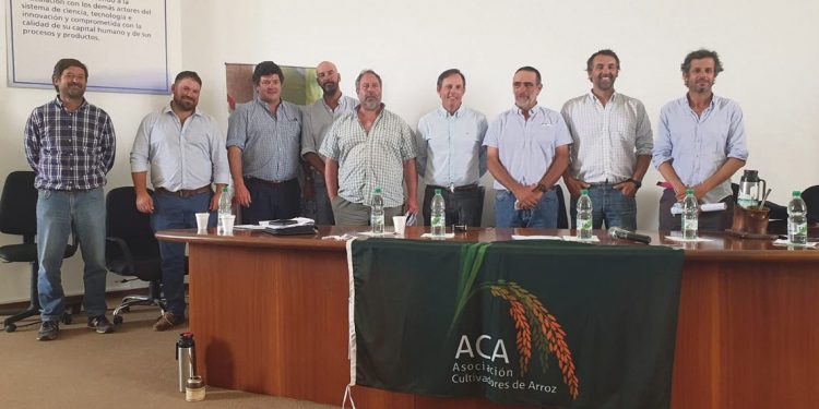 Los problemas logísticos han enlentecido las exportaciones de arroz