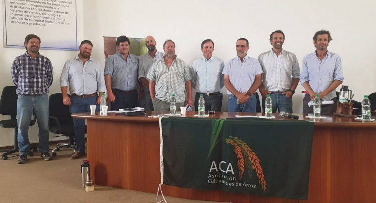 Los problemas logísticos han enlentecido las exportaciones de arroz