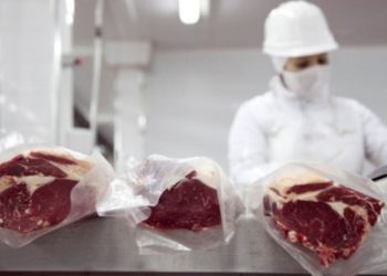 En noviembre las exportaciones siguen creciendo con la carne como líder