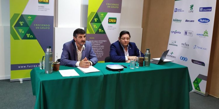 Fucrea presentó positivos resultados de sus empresas agropecuarias