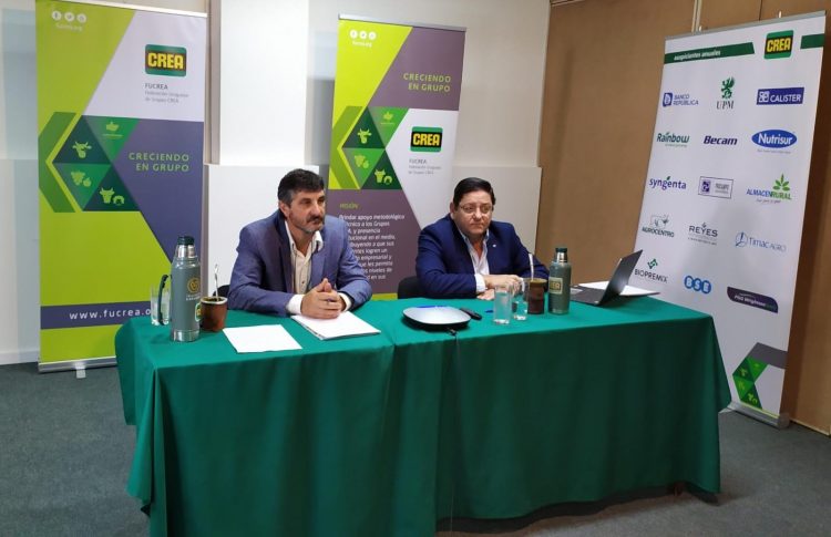 Fucrea presentó positivos resultados de sus empresas agropecuarias