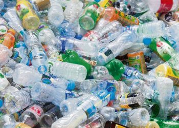Economía circular: Imitando a la naturaleza