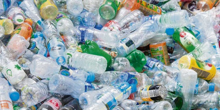 Economía circular: Imitando a la naturaleza