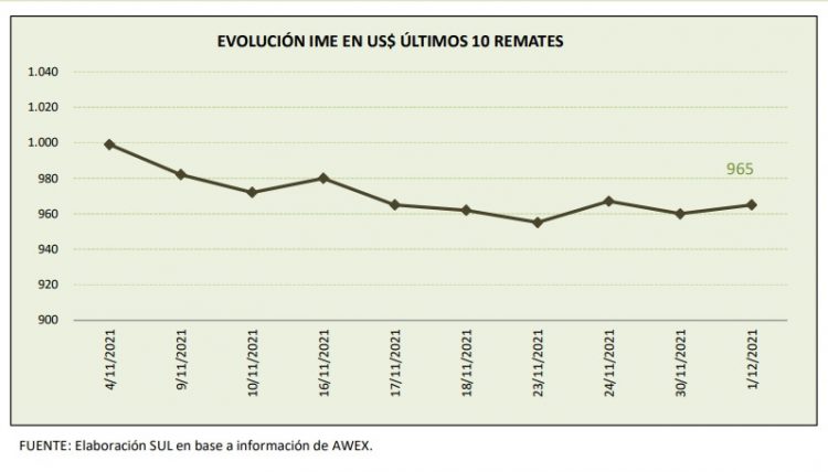El precio de la lana cayó 2 centavos de dólar