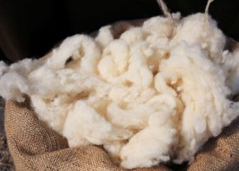 Se enlentece el mercado de las superfinas