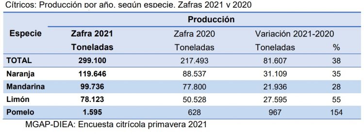 Producción citrícola crece 38%