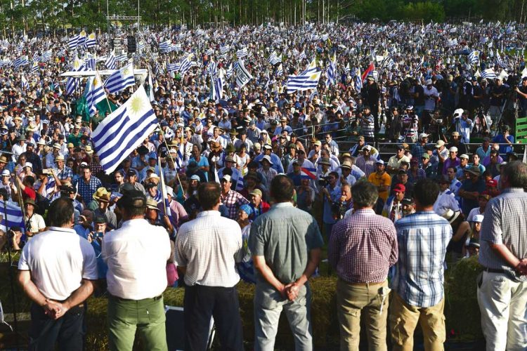 “El proyecto de ley forestal hizo eco de las demandas de la gente”