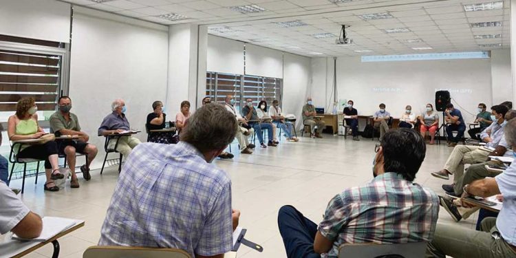 Víctor Bachetta: “Debemos ser un país forestal serio”