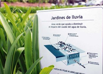 “Hay que tratar de incorporar medidas de drenaje sustentables”