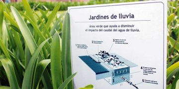 “Hay que tratar de incorporar medidas de drenaje sustentables”