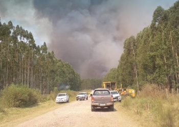 Comparecencia de ministros al parlamento por incendios forestales se posterga por casos de Covid 19
