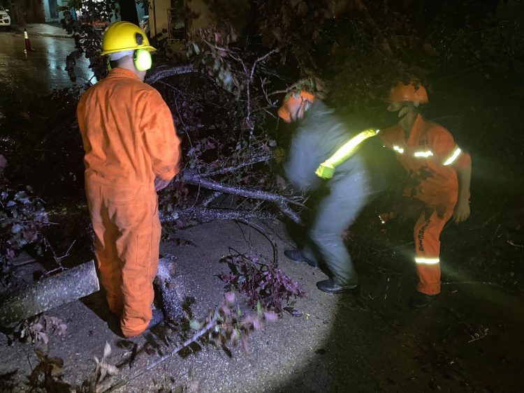 Fuerte tormenta de lluvia y viento provocó destrozos en varias localidades de Florida