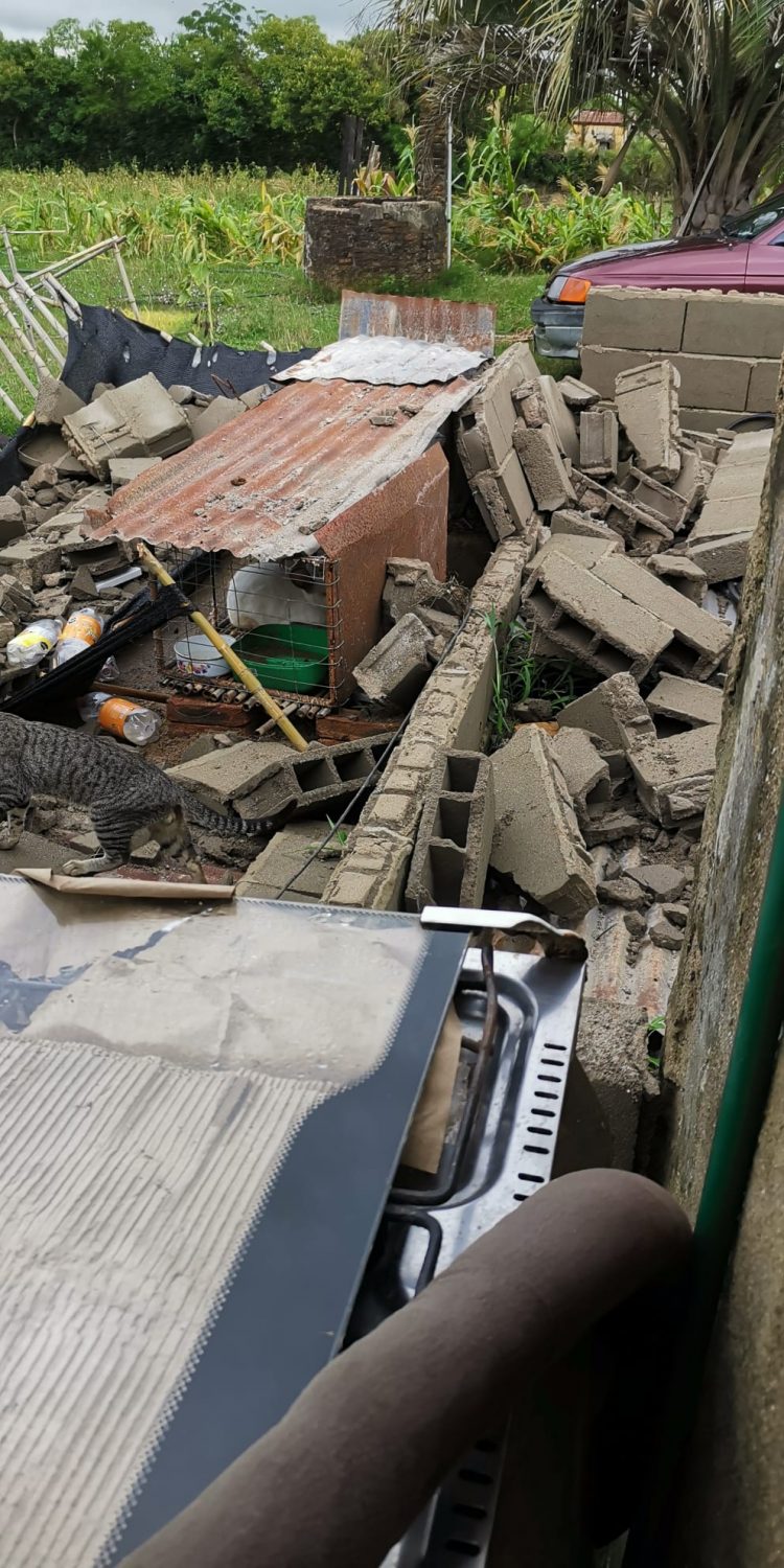 Fuerte tormenta de lluvia y viento provocó destrozos en varias localidades de Florida